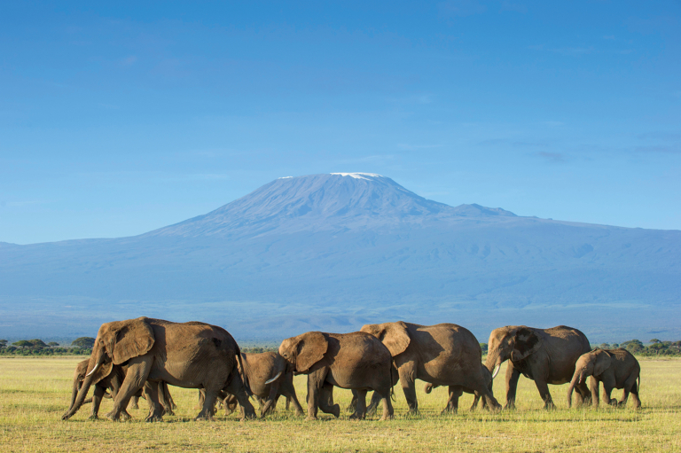Odysseys Unlimited The Small Group Travel Experience