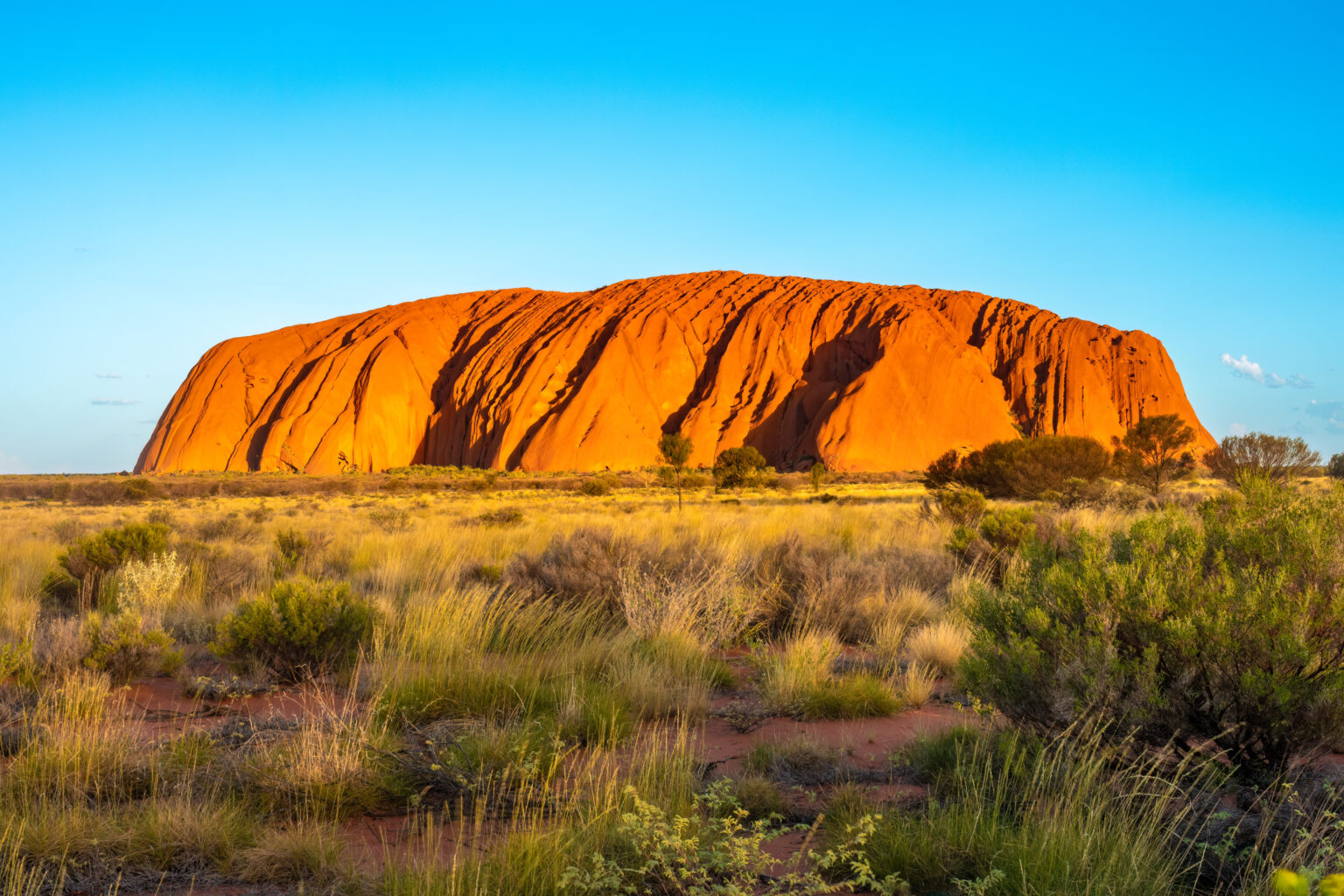 australia new zealand small group tours