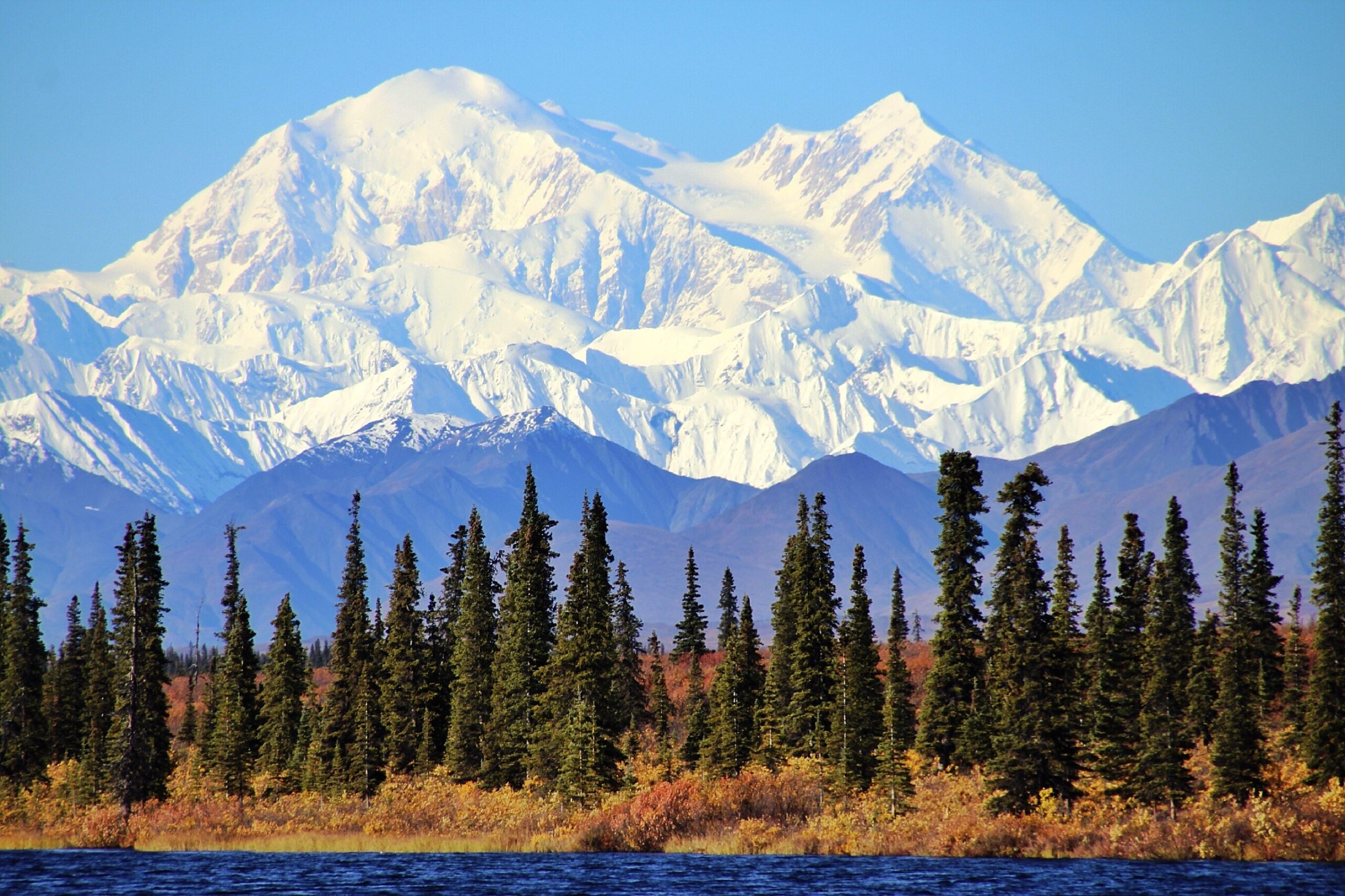 Untamed Alaska - Odysseys Unlimited