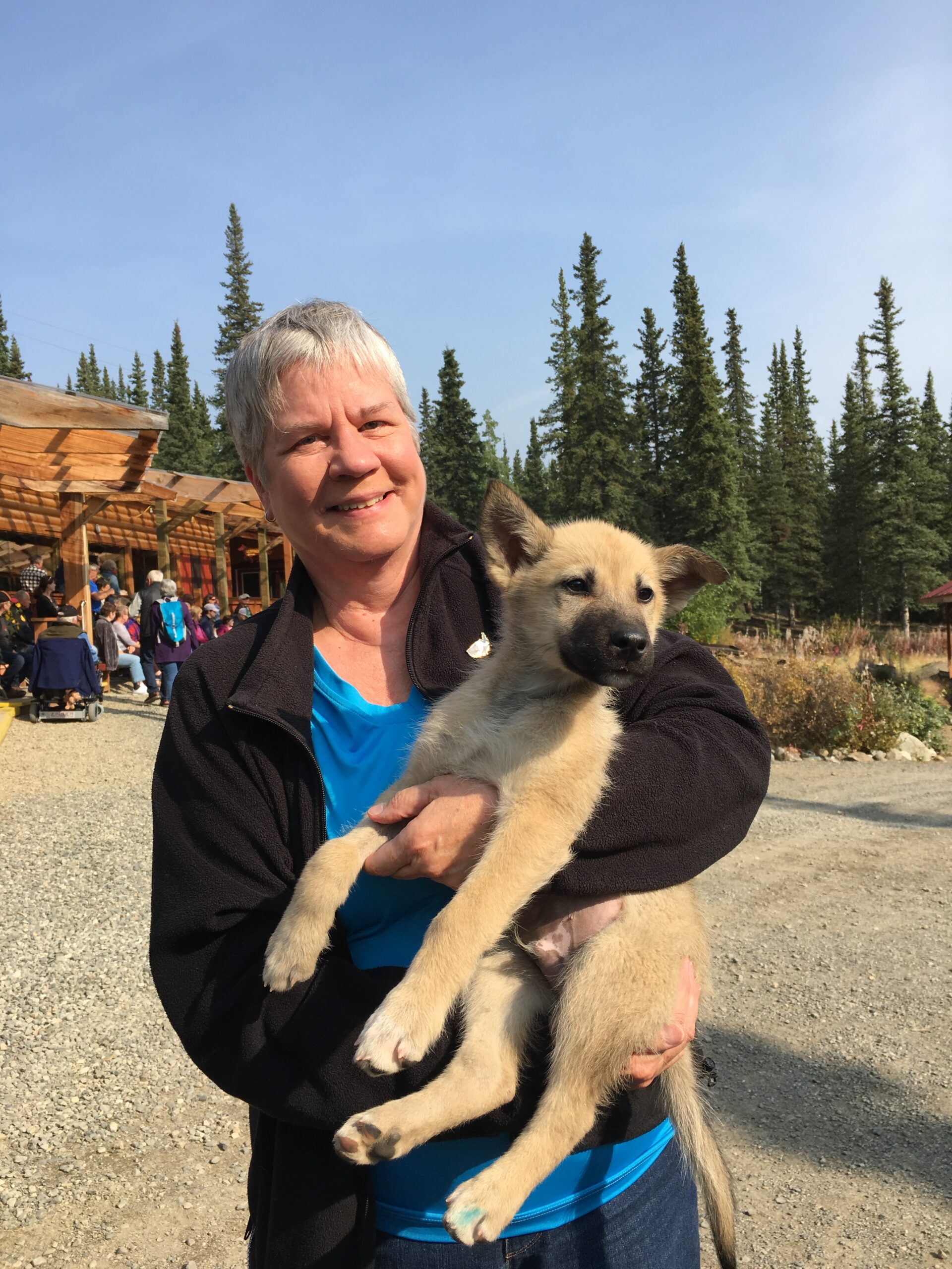 husky kennel alaska