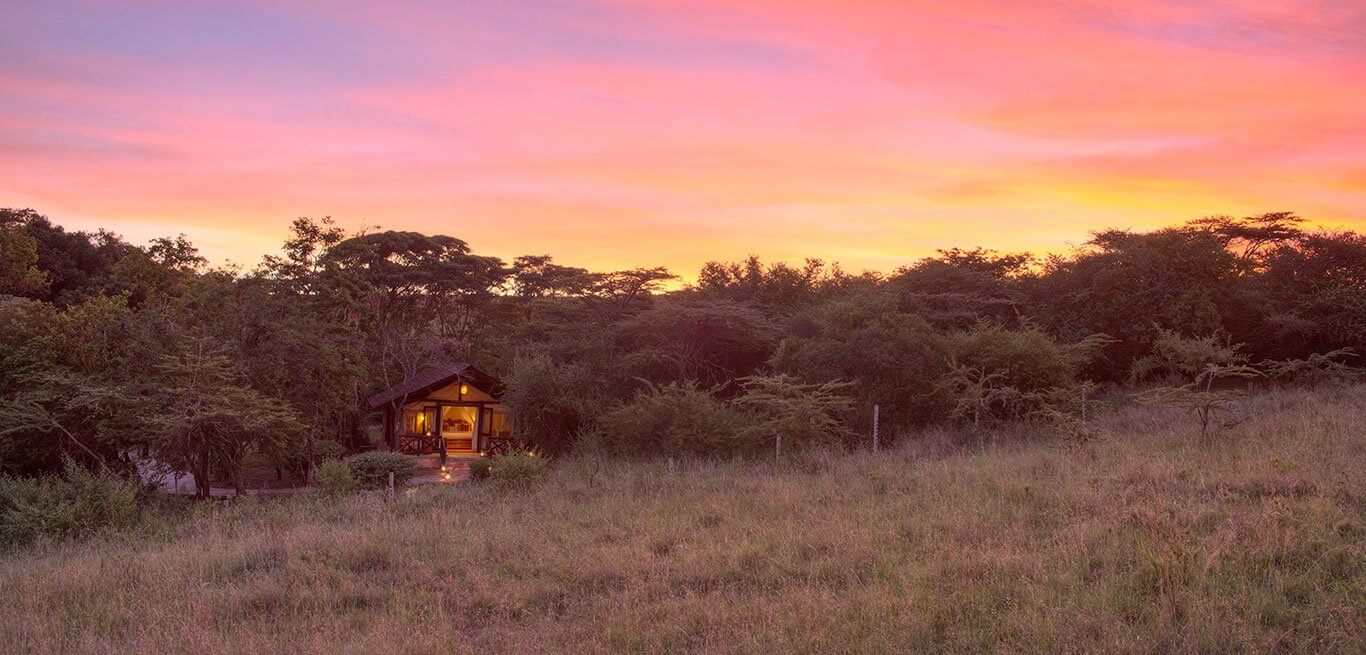 sarova mara game camp