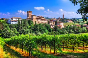 Romantic vineyards outside Verona, Italy