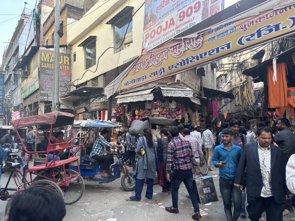 Odyssey Unlimited Tours 2024 India Sydel Fanechka