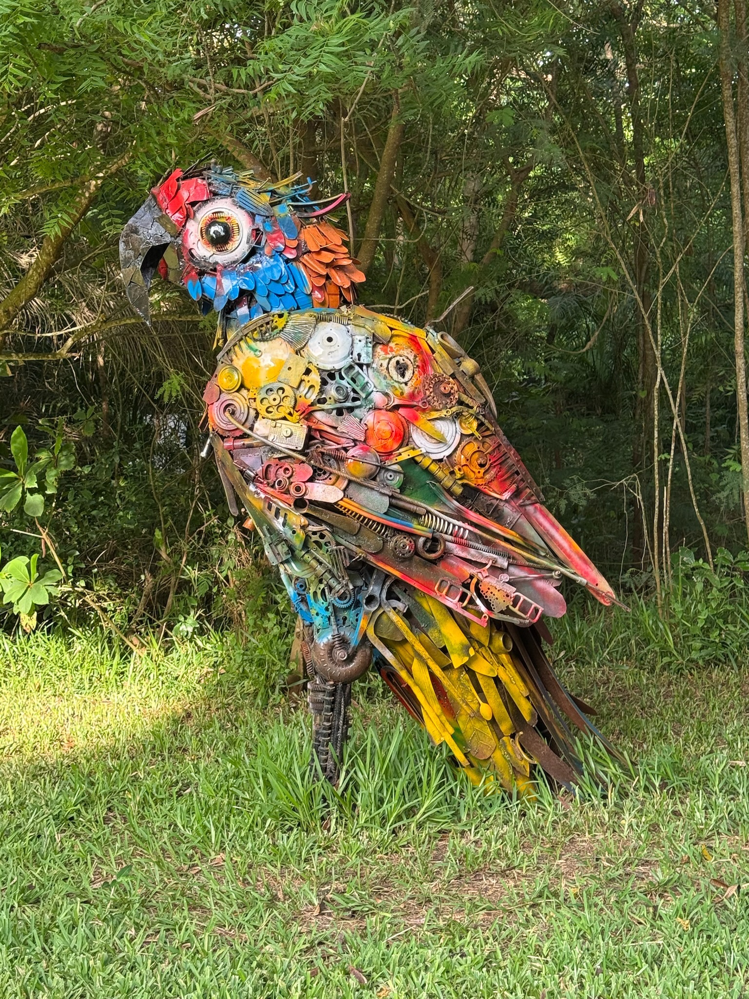 West Africa Discovery