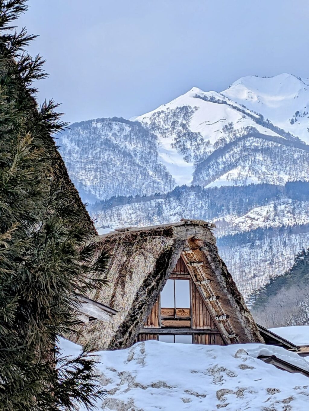 Gassho house - photo by guest Yvonne J