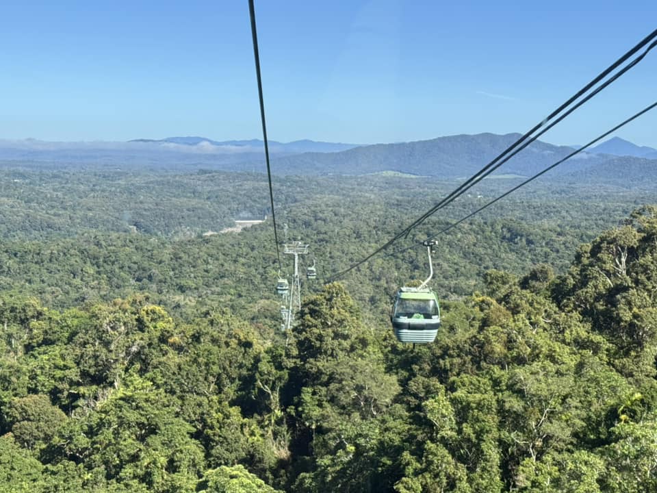 Daintree Forest Kuranda gondola