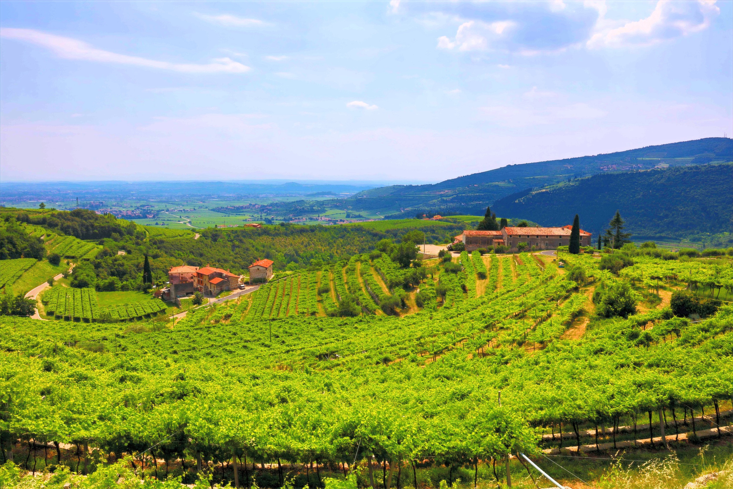 Tenuta Santa Maria