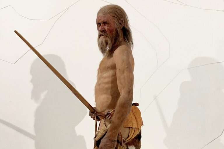 Otzi the Iceman