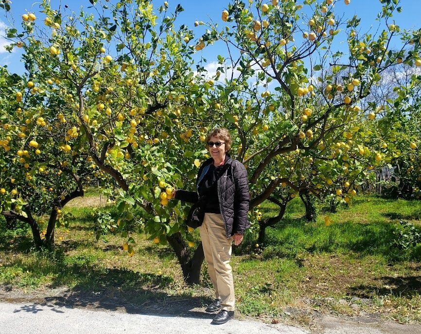 sicily lemon farm lunch