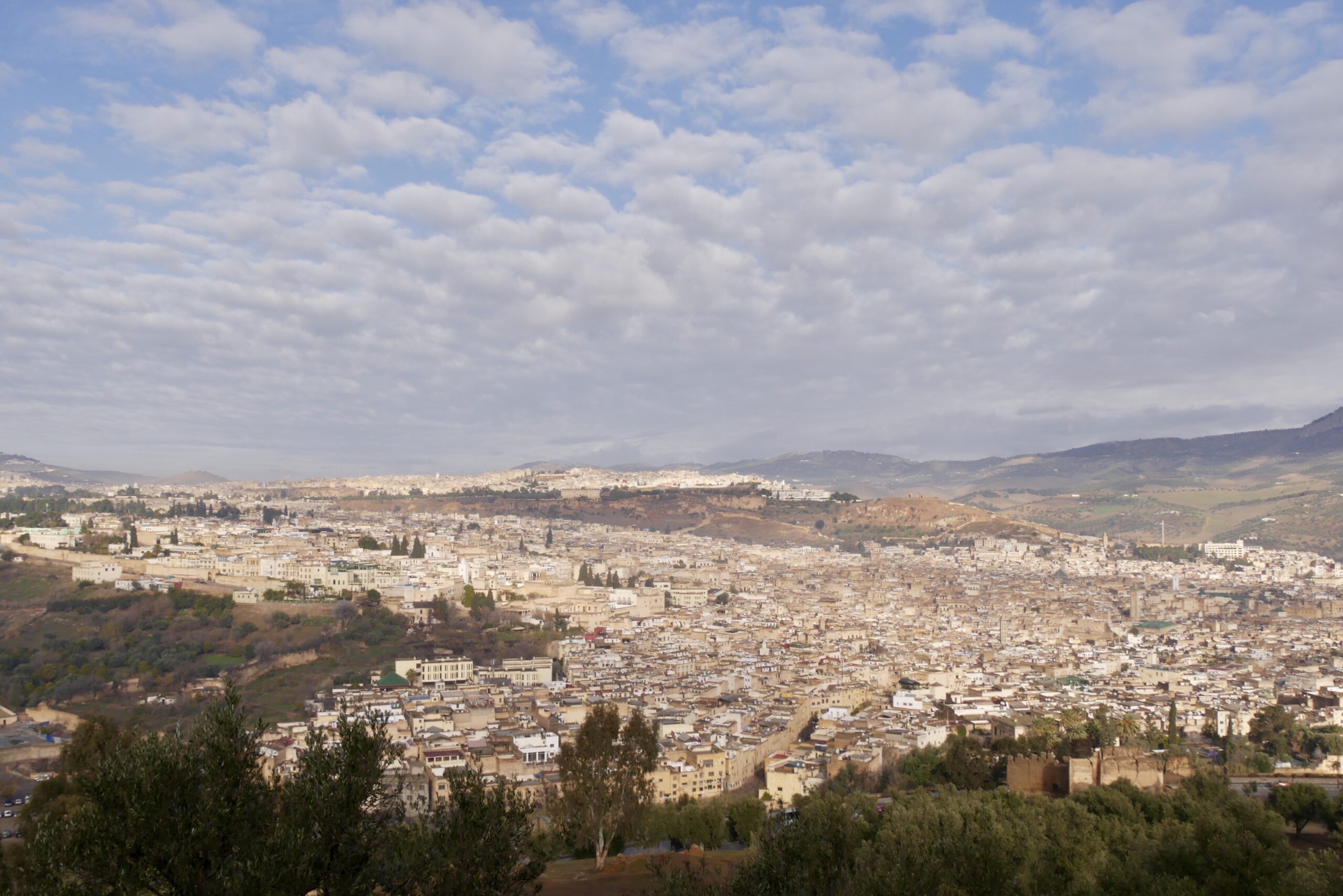 Fez Medina