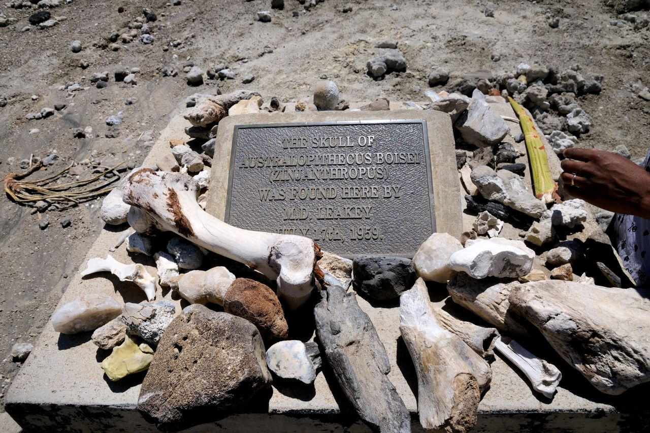 Plaque_marking_the_discovery_of_Australopithecus_in_Tanzania