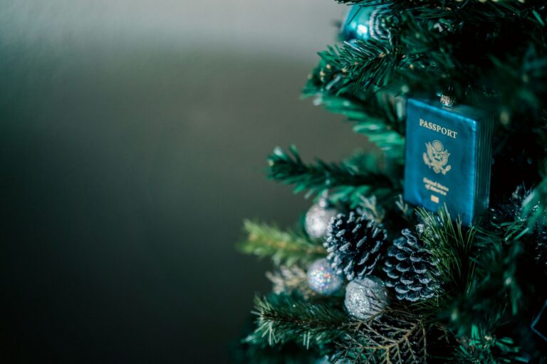 holiday gift guide
