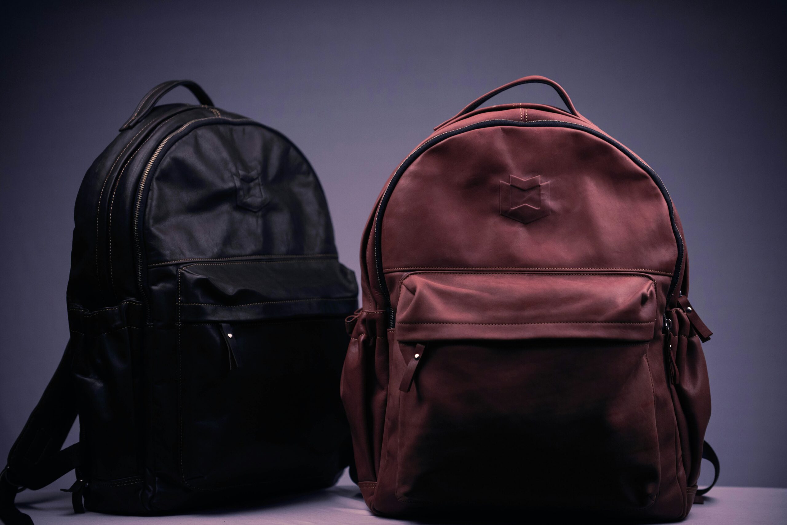 anti-theft day pack
